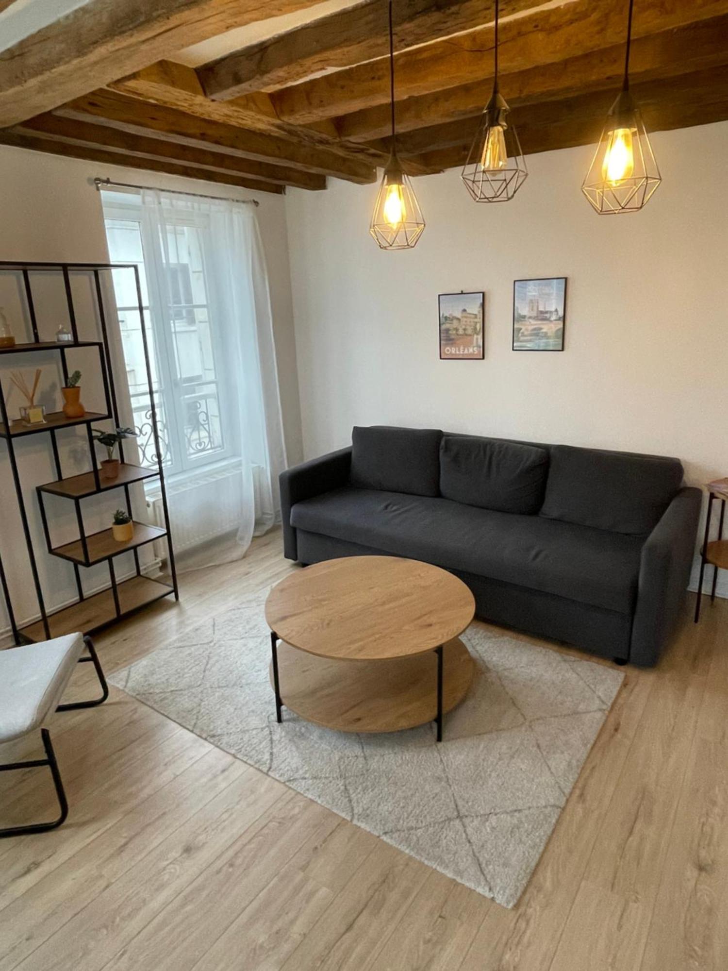 Charmant Appartement Orleans ! Dış mekan fotoğraf