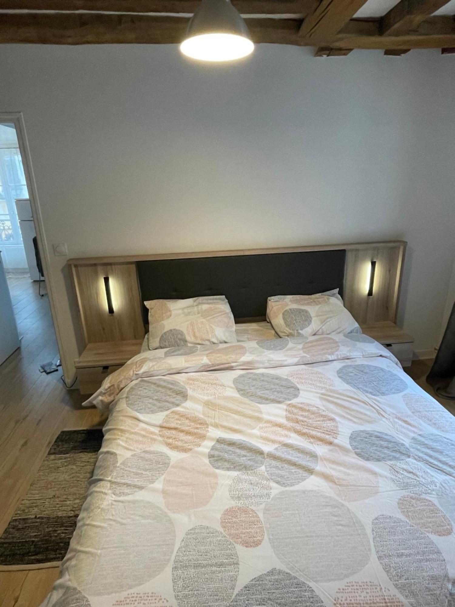Charmant Appartement Orleans ! Dış mekan fotoğraf